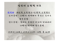 인간행동과 사회환경-태내기와 신생아기-6