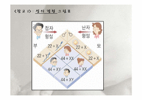 인간행동과 사회환경-태내기와 신생아기-11