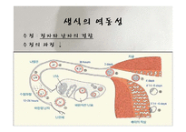 인간행동과 사회환경-태내기와 신생아기-16