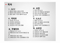 GCC 4개국과 요르단 정치 사회 연구-2