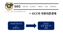 GCC 4개국과 요르단 정치 사회 연구-10