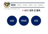 GCC 4개국과 요르단 정치 사회 연구-11