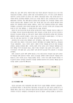 경국대전과 지치주의-8
