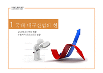 프로배구 활성화 방안-3