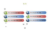바이오 에너지, 바이오 매스의 국내외 사례와 전망-2