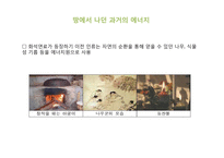 바이오 에너지, 바이오 매스의 국내외 사례와 전망-4