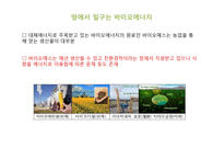 바이오 에너지, 바이오 매스의 국내외 사례와 전망-9