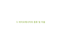 바이오 에너지, 바이오 매스의 국내외 사례와 전망-13