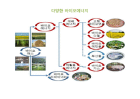바이오 에너지, 바이오 매스의 국내외 사례와 전망-14