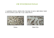 바이오 에너지, 바이오 매스의 국내외 사례와 전망-15