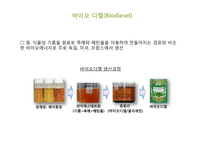바이오 에너지, 바이오 매스의 국내외 사례와 전망-17