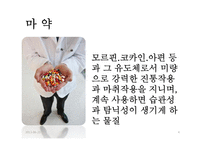 마약중독 예방 및 치료 프로그램-4