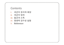 미생물학 실습-세균의 분리와 배양, 염색, 항생제 감수성 실험-2