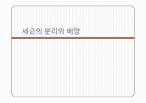 미생물학 실습-세균의 분리와 배양, 염색, 항생제 감수성 실험-3