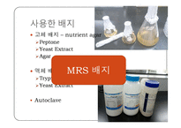 미생물학 실습-세균의 분리와 배양, 염색, 항생제 감수성 실험-6