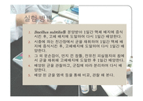 미생물학 실습-세균의 분리와 배양, 염색, 항생제 감수성 실험-7