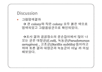 미생물학 실습-세균의 분리와 배양, 염색, 항생제 감수성 실험-11