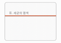 미생물학 실습-세균의 분리와 배양, 염색, 항생제 감수성 실험-12