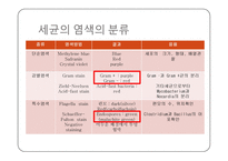 미생물학 실습-세균의 분리와 배양, 염색, 항생제 감수성 실험-14