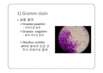 미생물학 실습-세균의 분리와 배양, 염색, 항생제 감수성 실험-16