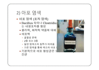 미생물학 실습-세균의 분리와 배양, 염색, 항생제 감수성 실험-17