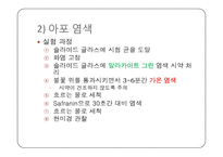 미생물학 실습-세균의 분리와 배양, 염색, 항생제 감수성 실험-18