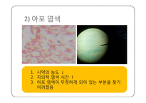 미생물학 실습-세균의 분리와 배양, 염색, 항생제 감수성 실험-19