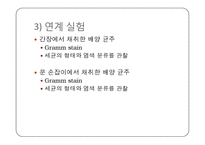 미생물학 실습-세균의 분리와 배양, 염색, 항생제 감수성 실험-20