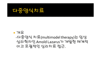 다중양식 이론(MMT)및 치료-3