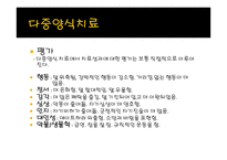 다중양식 이론(MMT)및 치료-10