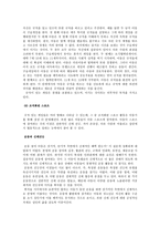 아동기 후기와 청소년기의 놀이-8