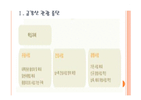 [현대아산 기업분석] 현대아산 경영전략분석(개성공단,금강산관광) PPT자료-3