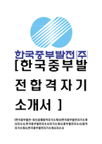 [한국중부발전-최신공채합격자기소개서]한국중부발전자기소개서자소서,한국중부발전자소서자기소개서,중부발전자소서,합격자기소개서,한국중부발전자기소개서자소서-1