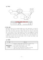 독거노인(독거어르신) 사례관리, 5회기 상담일지 포함-5