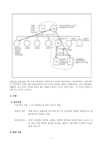 대리친인척 위탁아동의 건강한 성장과 발달을 위한 사례개입-3