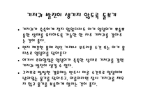 (아동보육) 신생아 기저귀 갈기(준비물, 종이 기저귀와 천 기저귀, 발진예방법 등) PPT 프레젠테이션-13