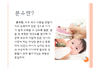 보육학개론] 신생아 분유수유에 대하여(분유종류, 젖병종류와 관리, 분유타기, 먹이는 자세, 트림, 분유수유 장단점) PPT 프레젠테이션-3