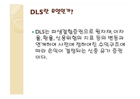 ELS와 DLS의 모든 것-4