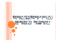 [택배시장]택배산업(택배서비스)의 문제점과 해결방안 PPT자료-1