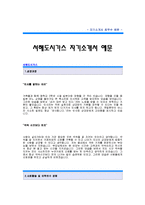 서해도시가스 자기소개서[서해도시가스 합격 자기소개서 예문] 서해도시가스 자소서[서해도시가스 합격 자소서 샘플] 서해도시가스 공채 입사지원서-1