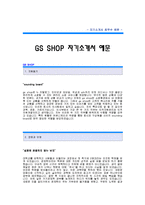 GS SHOP 자기소개서] GS샵 합격 자기소개서 예문 GS SHOP 인사부 합격 자소서 샘플 GS샵 인사분야 공채 입사지원서-1