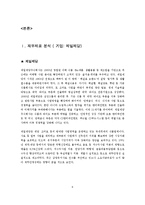 [재무회계] 기업재무분석(cj-제일제당)-6