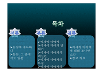 이세이 미야케 report-2