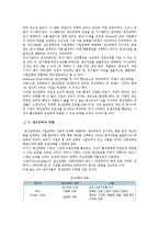 [생산전략] 생산전략의 유형, 구조 및 사례-2