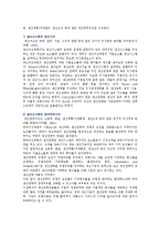 [생산전략] 생산전략의 유형, 구조 및 사례-8