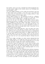 [생산전략] 생산전략의 유형, 구조 및 사례-11