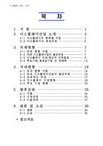 디스플레이정의,디스플레이산업,국내외적발전과정,국제적위상,향후전망-2