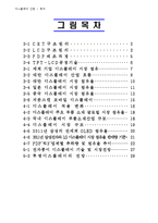디스플레이정의,디스플레이산업,국내외적발전과정,국제적위상,향후전망-3