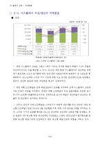 디스플레이정의,디스플레이산업,국내외적발전과정,국제적위상,향후전망-13