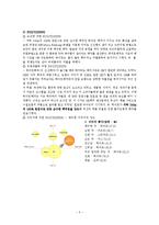 [광고론] 하이트 HITE맥주 시장 점유율 높이기 위한 마케팅 전략-5